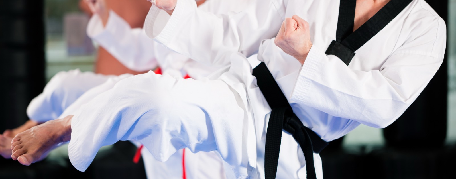 Taekwondo Adult