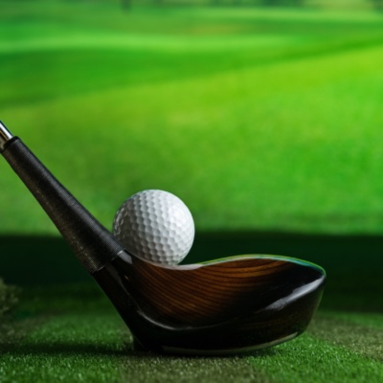 Golf Adult