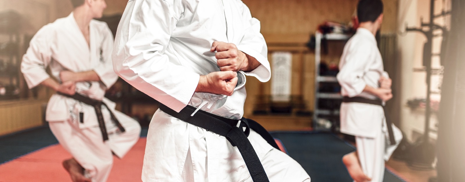 Karate Adult
