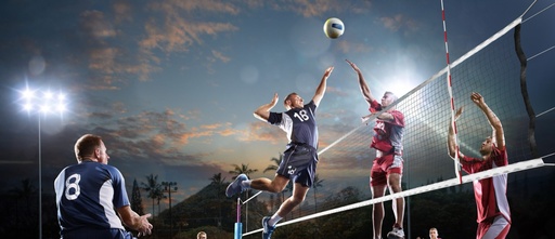 Volleyball Adult